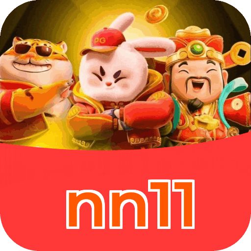 nn11