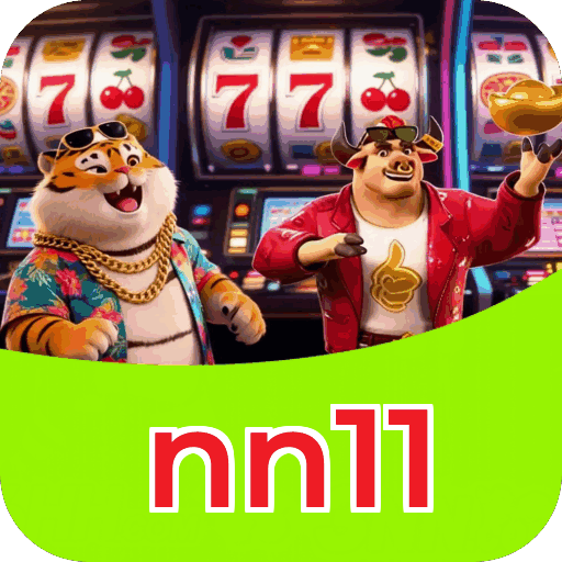nn11